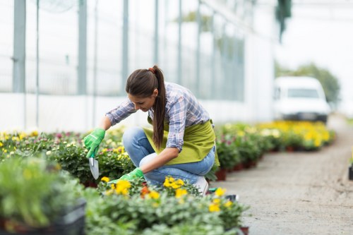 A woman wearing a plaid shirt, jeans, and green gardening gloves is crouching in a well-maintained garden, tending to a flower bed filled with colorful yellow and purple blossoms. She is using a trowel to carefully plant or prune the flowers, with her focus on the task. The garden area features neatly arranged flower beds bordered by narrow, paved pathways and lush green foliage. In the background, there are greenhouses with glass panels, and a white vehicle can be seen parked beyond the garden, suggesting a professional gardening or landscaping environment in or near Feltham. The surroundings are bright and sunny, indicating clear weather, and the scene reflects careful outdoor maintenance typical of professional gardening services supplied by Landscapers Feltham. The vibrant plant colours and orderly garden layout demonstrate attention to detail in outdoor care, aligning with services offered in the local area of TW13 postcode and highlighting their gardening expertise in the region.