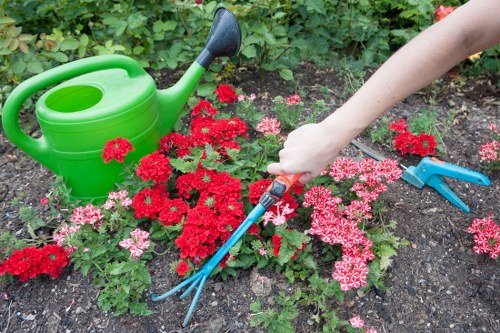 A close-up of a garden bed in a back outdoor space, showing a variety of blooming red and pink flowers with green foliage, bordered by dark, moist soil. In the foreground, a person's hand is using a small hand rake, with gardening gloves visible, to tend to the plants. To the side, a bright green plastic watering can with a black spout is placed on the soil, suggesting ongoing gardening activity. The garden appears well-maintained with a mix of flowering plants and healthy greenery, set in a natural outdoor environment that could be part of a suburban backyard near Feltham, with natural daylight illuminating the scene. This image highlights typical gardening and landscaping activities, consistent with services offered by Landscapers Feltham, contributing to an inviting and well-kept garden space.