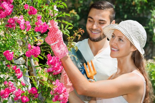 Cookie policy introduction for Landscapers Feltham website