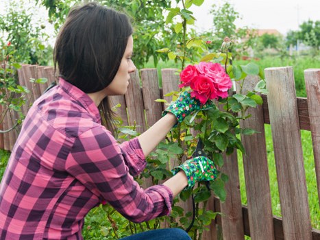 Garden tools and soil preparation in Feltham