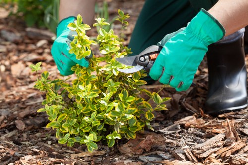 Landscaping complaint process with garden waste and site review
