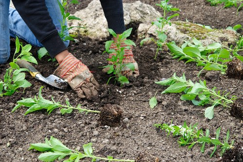 Accepted payment methods for landscaping services in Feltham