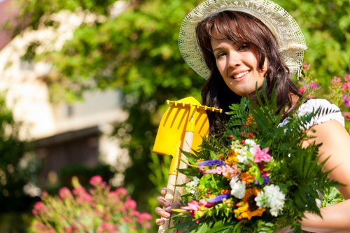 Healthy tree branches after professional pruning