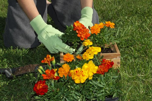 A person wearing light green gardening gloves tends to a vibrant flower bed in a garden, planting or arranging bright orange, yellow, and red flowers with large green leaves. The garden features a lush, well-maintained lawn with a patch of dark, moist soil visible in the background. The scene is set outdoors on a sunny day, with natural greenery and a wooden flower box nearby. The arrangement of the flowers adds colour and texture to the landscaped yard, highlighting professional gardening activities that align with outdoor maintenance services offered by landscapers in Feltham. The overall setting emphasizes a neat, orderly, and thoughtfully designed garden space suitable for residential outdoor environments, exemplifying sustainable gardening practices and landscape enhancement.