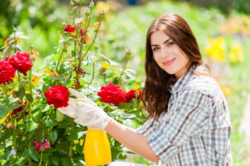 Seasonal hedge maintenance in full bloom