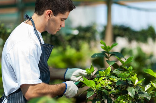 Tools and equipment for garden clearance