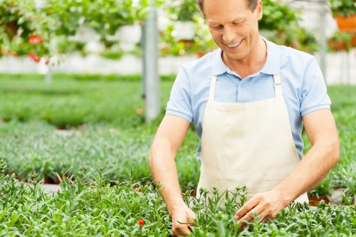 Variety of plants suitable for Feltham climate