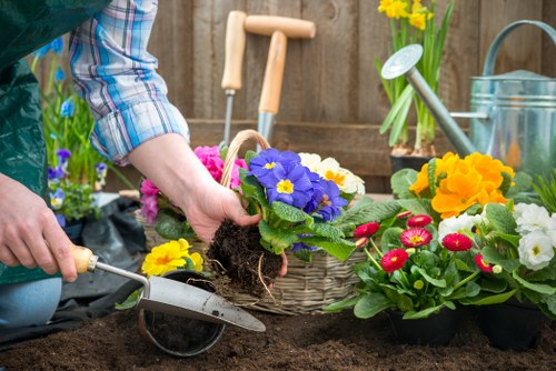 In a garden setting, a person wearing a blue plaid shirt is in the process of planting a vibrant purple flowering plant into prepared dark, rich soil. Surrounding the main planting area are various colorful flower pots containing bright yellow, red, and white blooms, which add a lively contrast to the dark earth. In the background, gardening tools such as a small trowel, a watering can, and a pair of garden scissors rest on a weathered wooden fence, indicating active gardening work. The scene is illuminated by natural daylight, suggesting a mild weather condition suitable for outdoor gardening activities. The garden appears well-maintained with a neatly arranged flower bed and a bordered section, contributing to an organized and inviting outdoor space that reflects professional gardening practices suitable for enhancing local landscapes in Feltham and nearby areas.