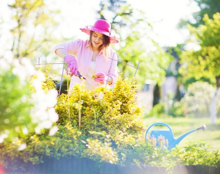 A woman wearing a pink sunhat, pink gardening gloves, and a light pink shirt is tending to a garden bed filled with bright yellow flowering plants. She is using small garden tools, possibly pruning or planting, with her focus directed downward towards the plants. The garden features lush, green foliage with a variety of shrubs and small trees in the background, along with a well-maintained lawn and paved pathway. Bright sunlight illuminates the scene, creating natural highlights on the leaves, flowers, and the woman's attire, indicating a clear, warm day typical of outdoor gardening in Feltham. The setting suggests a pleasant backyard space suitable for maintaining and enhancing local landscaping, with visual cues aligning with services offered by Landscapers Feltham for garden care and decking repairs. Overall, the image captures a peaceful moment of gardening activity in a well-kept outdoor environment, emphasizing natural textures, vibrant colours, and the inviting atmosphere of a residential garden in the Feltham area.