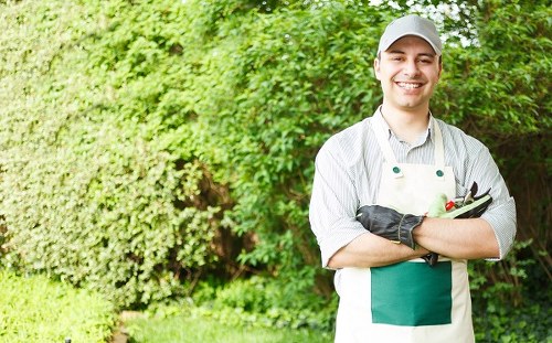 Healthy green lawn maintained by experts