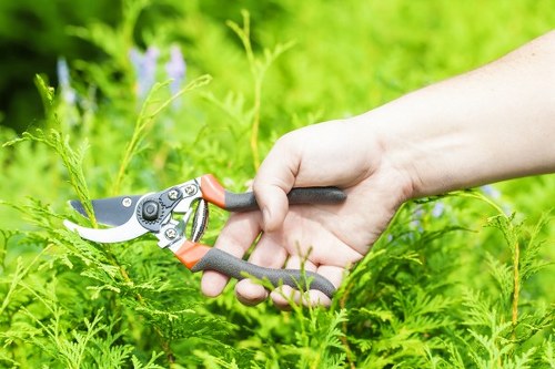 A close-up view of a person's hand holding a pair of garden pruning shears with orange and grey handles, actively trimming lush green foliage in a garden setting. The background features a vibrant, well-maintained lawn with dense greenery and small flowering plants, indicating a healthy outdoor space typical of Feltham, with natural light suggesting a clear day. The scene highlights careful gardening practices, supporting services offered by Landscapers Feltham in maintaining and enhancing residential gardens, emphasizing the importance of precise pruning and plant care in outdoor garden design within the local area.