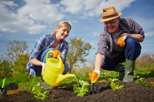 Eco-friendly lawn mowing practices