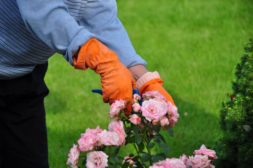 A gardener wearing a light blue long-sleeve shirt and bright orange gloves is tending to a flower bed with pink roses, situated in a well-maintained outdoor garden or landscaped yard. The roses, with their lush blooms, are positioned in the foreground, showing a healthy cluster of blossoms and green foliage. Behind them, a neatly trimmed hedge or shrubbery is visible, contributing to the overall tidy and organized garden layout. The background features a vibrant green lawn, indicating regular care and maintenance, with natural sunlight illuminating the scene and highlighting the various textures of the grass, plant leaves, and flowers. This outdoor space, possibly part of a private garden in Feltham, demonstrates the typical features of a landscaped garden, suitable for landscaping and gardening services focused on lawn care, plant health, and garden aesthetics, emphasizing sustainability and garden upkeep consistent with the themes of recycling and sustainability at Landscapers Feltham.