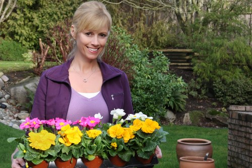 A woman with blonde hair styled in a ponytail, wearing a purple jacket over a white top, stands in a well-maintained backyard garden holding a tray of colorful flowering plants in terracotta pots, including bright pink, yellow, and white blooms. The garden features a neatly trimmed lawn with lush green grass, a variety of shrubs and small trees in the background, and a small wooden staircase leading up to a higher level of the garden. On the right side, there are additional brown terracotta pots placed on the grass and paving stones, suggesting ongoing gardening activities. The environment appears to be sunny with natural light illuminating the scene, highlighting the vibrant plant colours and the healthy, dense foliage surrounding the area, consistent with professional garden maintenance and landscaping services provided by landscapersfeltham.co.uk in the Feltham area.