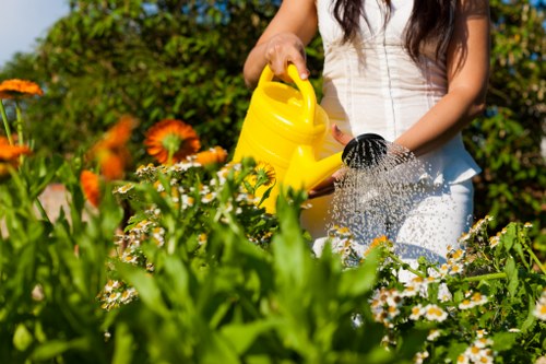 Choosing the right lawn care service
