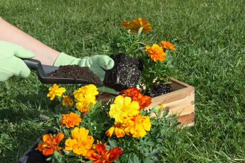 A gardener wearing green gloves is planting a flowering plant into a wooden planter box placed on a well-maintained lawn. The flowers are vibrant in shades of yellow, orange, and red, creating a colorful focal point in the outdoor garden. The soil is freshly turned and dark, contrasting with the bright blooms. In the background, there is a lush grass lawn and some additional flowering plants, suggesting a neatly landscaped garden space typical of a residential backyard or front garden in Feltham. The scene appears to be set in daylight with natural sunlight highlighting the vivid colours and textures of the garden bed, indicative of outdoor lawn and garden care services offered by Landscapers Feltham in the local area, focusing on planting and garden preparation within a suburban outdoor environment.