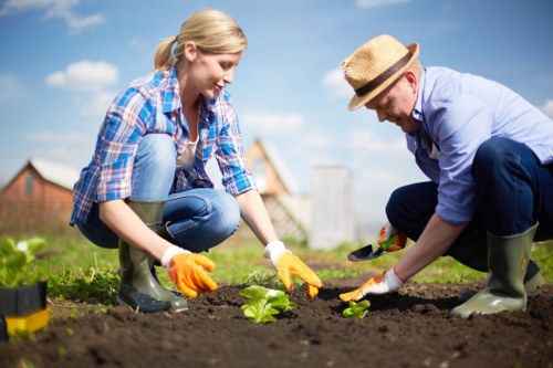 A woman and a man are gardening outdoors in a backyard or garden area, kneeling on the soil while planting young green leafy plants. The woman, with blonde hair tied back, is wearing a blue checkered shirt, blue jeans, and yellow gardening gloves. The man, wearing a light blue shirt, dark trousers, green rubber boots, and a straw hat, is also engaged in planting. They are surrounded by a well-maintained lawn and bordered by a wooden fence and a brick house in the background under a clear blue sky. The scene captures a moment of outdoor gardening activity, reflecting lawn care and planting services, with freshly turned soil and newly planted greenery clearly visible, typical of landscape or garden maintenance in the Feltham area.