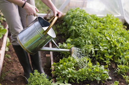 A person watering a vegetable garden in an outdoor space that features neat, cultivated planting beds with leafy greens and tomato plants. The garden is organized with a clear boundary between the soil and plant rows, and the plants display healthy green foliage. The soil appears well-maintained and free of weeds. To the right, there is a small paved pathway or patio area made of flat stone tiles, providing access for garden maintenance. The environment is shaded, with diffuse natural light indicating an overcast or partly cloudy day. The garden is part of a residential yard in Feltham, with a backdrop of a transparent greenhouse or polycarbonate structure. This outdoor area is designed for sustainable gardening, suitable for those interested in backyard vegetable cultivation, and reflects professional landscaping and gardening practices relevant to local homeowners.
