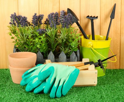 The image displays an organized outdoor garden workspace with a backdrop of a wooden fence. In the foreground, there are four potted lavender plants with purple flowers and green foliage arranged in a row. Next to the plants, there are several terracotta plant pots stacked together. A small wooden tool tray contains a pair of bright blue gardening gloves and a hand trowel with a wooden handle, along with other gardening tools. A yellow plastic bucket holds black-handled pruning shears, a small hand rake, and a gardening fork, all standing upright. The surface beneath the tools appears to be artificial grass, enhancing the tidy appearance of the gardening area. This setup is indicative of general garden maintenance and planting activities typical in residential outdoor spaces, suitable for inclusion on a gardening service website emphasizing lawn and garden care in the Feltham area.
